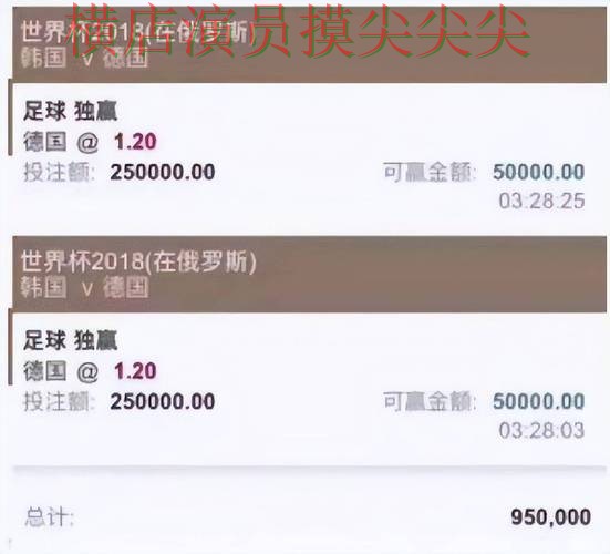 世界杯投注平台精选：稳定性评测+直播全指南 - 世界杯官方信息